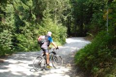 Mountainbike | Krampuswand Tour